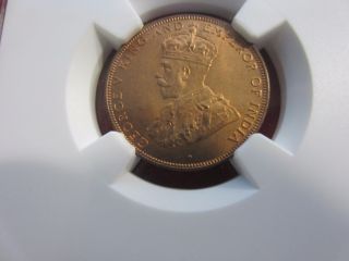 1931 Hong Kong One Cent Ngc Ms66rd Red Luster photo