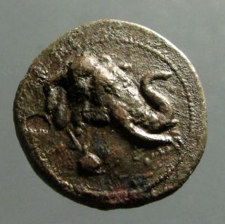 Demetrios I Of Bactria Bronze Ae29_rejoicing Elephant_the Second Alexander photo