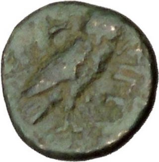 Sigeion In Troas 350bc Ancient Greek Coin Athena Three - Quarter Face Owl I46030 photo