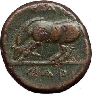 Larissa In Thessaly 360bc Authentic Ancient Greek Coin Nymph Horse I55759 photo