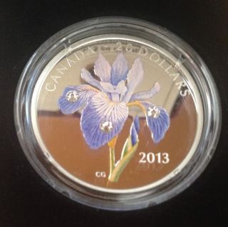 2013 Blue Flag Iris Colorized & Crystallized Prf $20 Silver Coin.  9999 photo