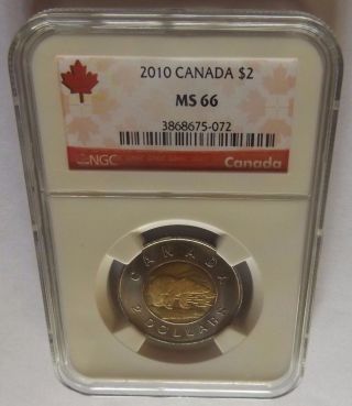 2010 Canada Ngc Ms66 Polar Bear $2 Red Canada Label 1 Coin Graded Higher photo