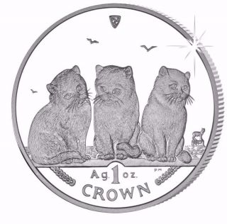 2006 Isle Of Man Exotic Shorthair Cat Coin 1 Oz Silver Proof & photo