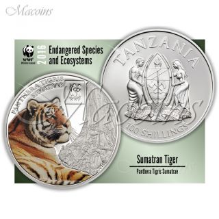 Sumatran Tiger Wwf 2016 Tanzania Cu - Silverplated Coloured Coin photo