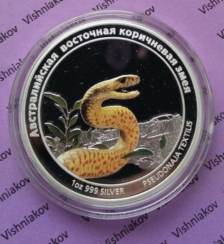 Silver Coin Danger Snake 