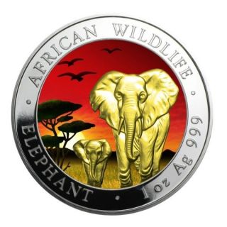 2015 1 Oz Silver Coin Somalia African Elephant Sunset Edition Color And 24k Gold photo