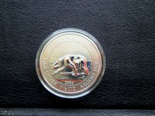 2013 Canada $8 1.  5 1 1/2 Oz Polar Bear.  9999 Fine Silver Bullion Coin In Capsule photo
