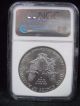 1994 S$1 American Silver Eagle Dollar Coin - Certified Ngc Ms 69 Silver photo 2