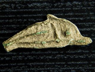 Ancient Greek Sarmatia Olbia Black Sea Dolphin Coin 5th - 4th Bc Cast Ae photo