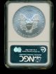 2008 American Silver Eagle.  Ngc Rated Gem Uncirculated.  Absolutely Silver photo 1
