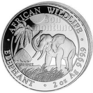 2017 Somalia Silver Elephant - 2 Oz Coin In Capsule - African Wildlife.  9999 Bu photo