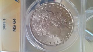 1889 P Morgan Silver Dollar Anacs Ms 64 Wow Great Details photo