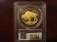 2008 - W Gold Buffalo Proof $50 (1 Oz) Coin Pcgs Pr69 Dcam Gold photo 2