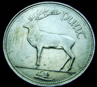 Ireland Republic.  1 Punt,  Pound,  1990 photo