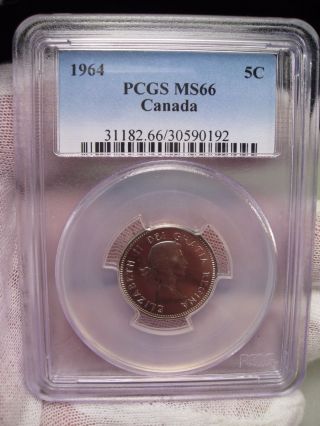 Bu Gem 1964 Canadian Nickel.  5c.  Canada.  Pcgs Ms66 photo