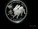 2011 Canada $15 Lunar Year Of The Rabbit Proof Silver Coin W/box & Coins: Canada photo 2