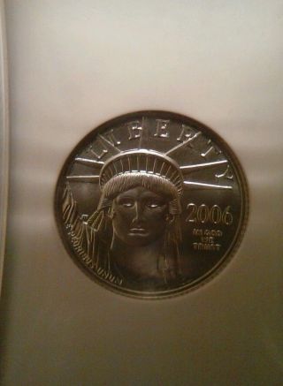 2006 - W Burnished $10 Platinum Eagle Statue Of Liberty 1/10th Oz.  Ngc Ms 69 photo