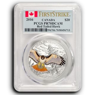 2016 Red Tailed Hawk Pcgs Pr70 First Strike Canada 1 Oz Proof Silver Coin photo