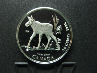 1996 Little Wild Ones - Canada Silver 50 Cent Coin - Moose Calf photo
