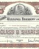 Shea ' S Winnipeg Brewery Ltd.  Canada,  100 Glass B Shares 1926 Stock Certificate Stocks & Bonds, Scripophily photo 1