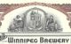 Shea ' S Winnipeg Brewery Ltd.  Canada,  100 Glass B Shares 1926 Stock Certificate Stocks & Bonds, Scripophily photo 3