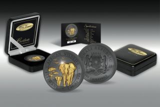 Somalia 2015 100 Shillings Somali Elephant Golden Enigma 1 Oz Silver Coin photo