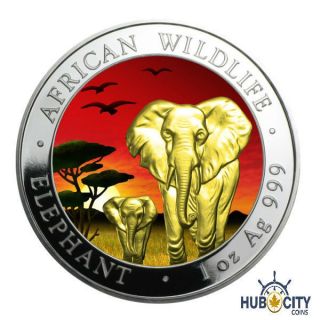 2015 1oz Somalia African Elephant Sunset 24k Gold Gild.  999 Fine Silver Coin photo