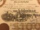 1931 Abbeville Cotton Mills Stock Certificate Rare South Carolina Slave Vignette Stocks & Bonds, Scripophily photo 1