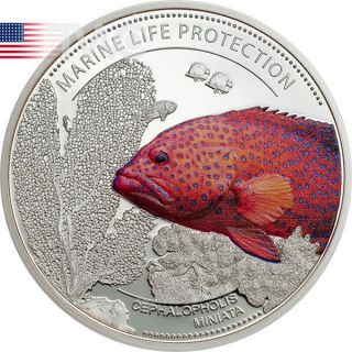 Palau 2016 1$ Marine Life Protection - Coral Hind Proof - Like Cuni Coin photo