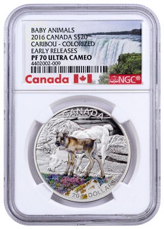 2016 Canada $20 1 Oz Colorized Silver Baby Animals Caribou Ngc Pf70 Er Sku43053 photo