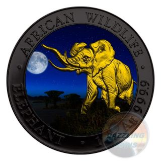 Elephant Night African Wildlife 1 Oz Silver Coin 100 Shilling Somalia 2016 - photo