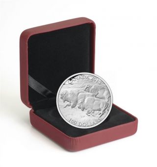 2013 $100 Fine Silver Coin - Bison Stampede photo