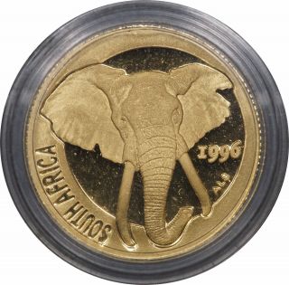 1996 South Africa 1 / 10 Oz Gold Natura Elephant In Capsule W/ photo