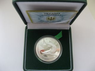 Ukraine 2012 Year 10 Hryvnia Coin Sterlet Freshwater Silver photo