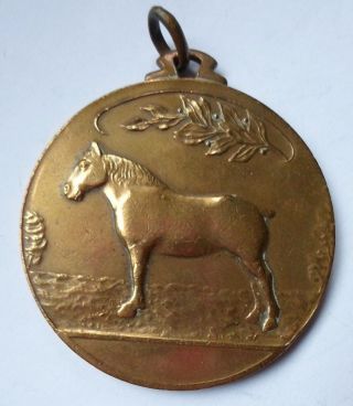 1940s Belgian Horse Breeding Prize Medal / Fob photo