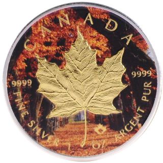 2016 1oz Ounce Canadian Silver Maple Leaf Coin Gold Gilded Autumn Forest Theme photo