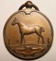 Ant.  Dutch Bronze Horse Medal Won In Class L And M 1922 Exonumia photo 1