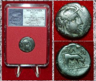 Ancient Greek Coin Macedonia Pella Helmeted Athena And Bull On Reverse photo