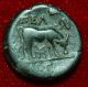 Ancient Greek Coin Macedonia Pella Helmeted Athena And Bull On Reverse Coins: Ancient photo 3