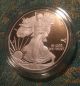 2010 - W American Silver Eagle Proof Coin - Stunning Coin Silver photo 3