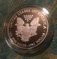 2010 - W American Silver Eagle Proof Coin - Stunning Coin Silver photo 4
