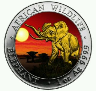2016 1 Oz Fine Silver Elephant Somalia African Sunset 24k Gold Gilded Box & photo