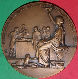 Bird Owl /medicine/cirurgy / Saint John Hospital/1958 Bronze Medal By J.  Da Silva photo