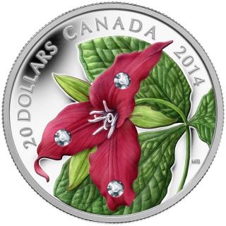 2014 Canada $20 Silver Coin - Red Trillium With Crystal Dew Drops photo