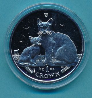 2008 Isle Of Man 1 Oz Silver Cat Coin - United Kingdom photo