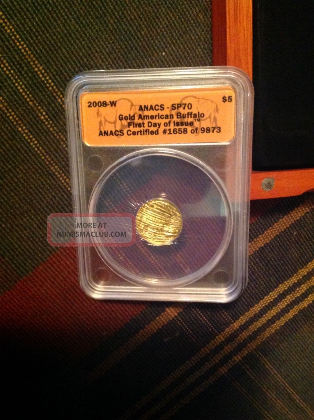 Gold American Buffalo Five Dollar Coin