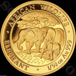 2013 Somalia Gold Elephant 1/50 Oz 24k Proof Coin In Capsule African Wildlife photo