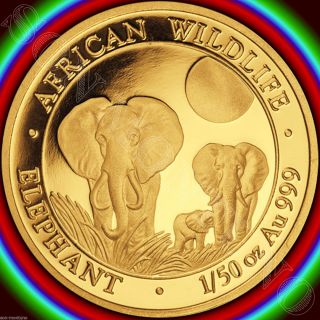 2014 Somalia Gold Elephant 1/50 Oz 24k Proof Coin In Capsule African Wildlife photo