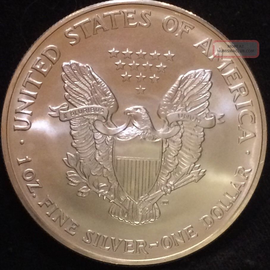 2004 American Silver Eagle Untouched Beauty, Value