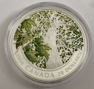 2014 $20 Fine Silver Canada Maple Canopy Spring Splendor,  Box And photo